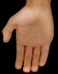 [animated hand]